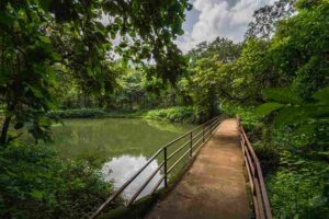 Karnala Bird sanctuary