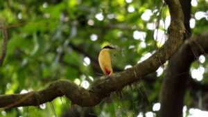 Karnala Bird sanctuary