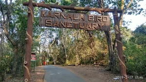 Karnala Bird Sanctuary – Best Time to Visit